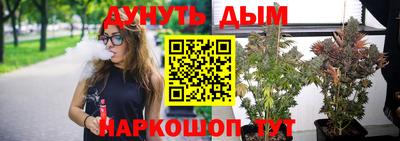 spice Кунгур